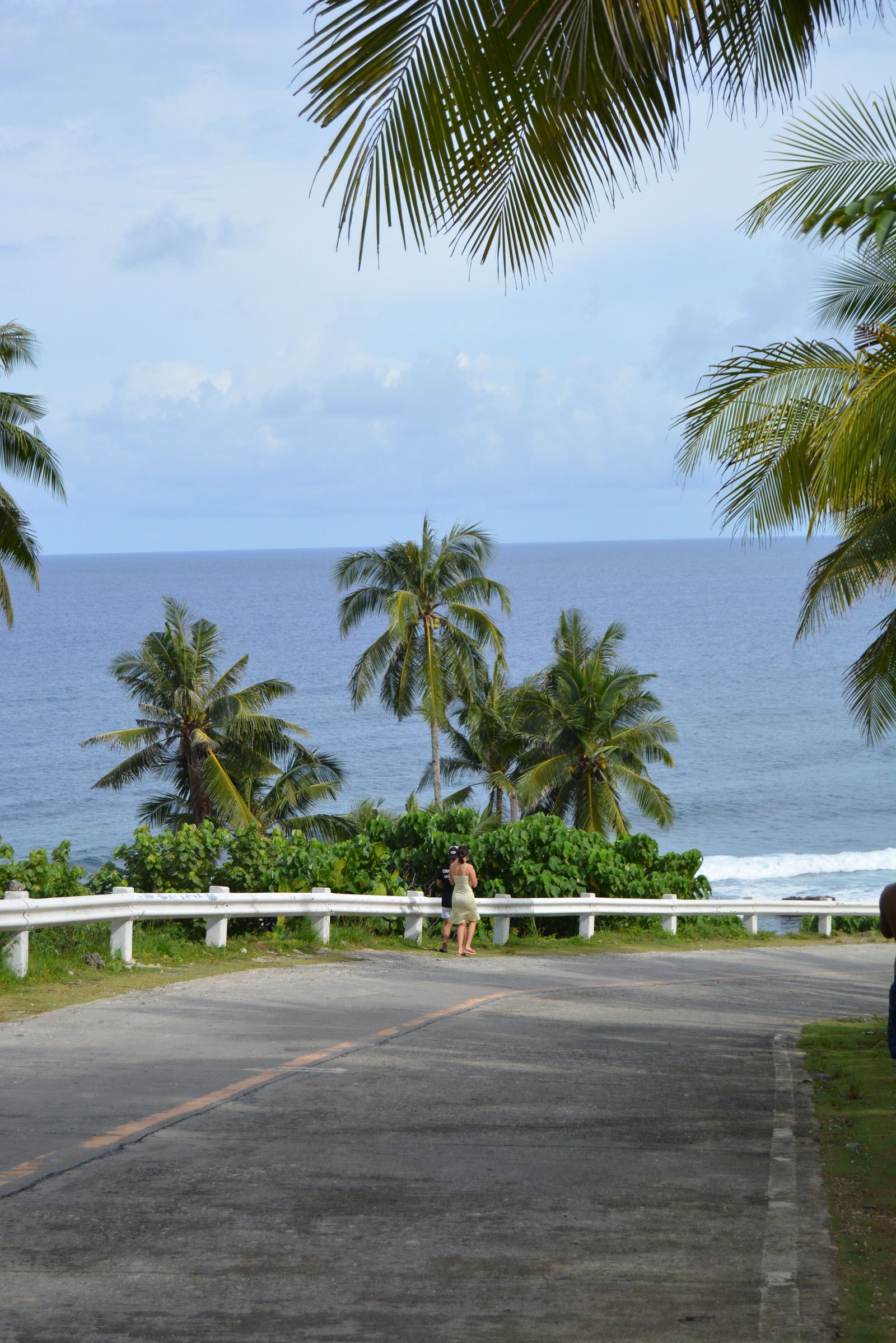 Palm-lined coastal scenery on a tropical transfer route