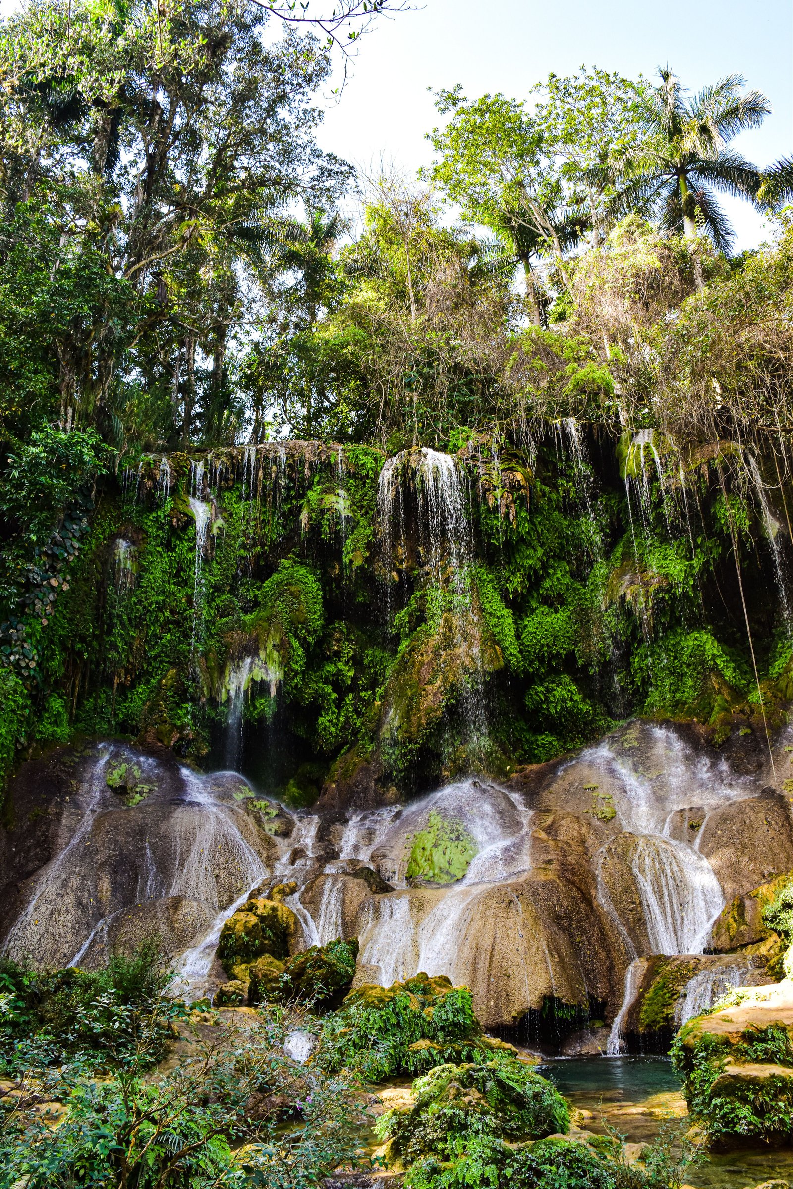 Tropical waterfall surrounded by rainforest